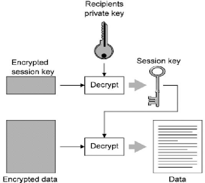 image-20260528231618547