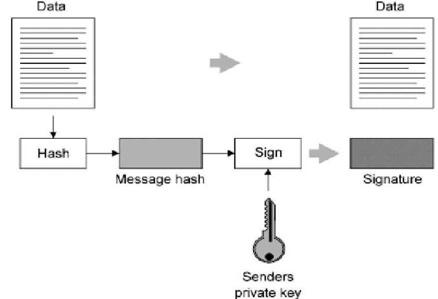 image-20260529140649957