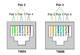 image-20251214194537041