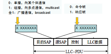 image-20251222225655755