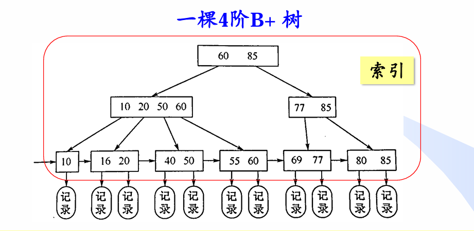 image-20250228204941576