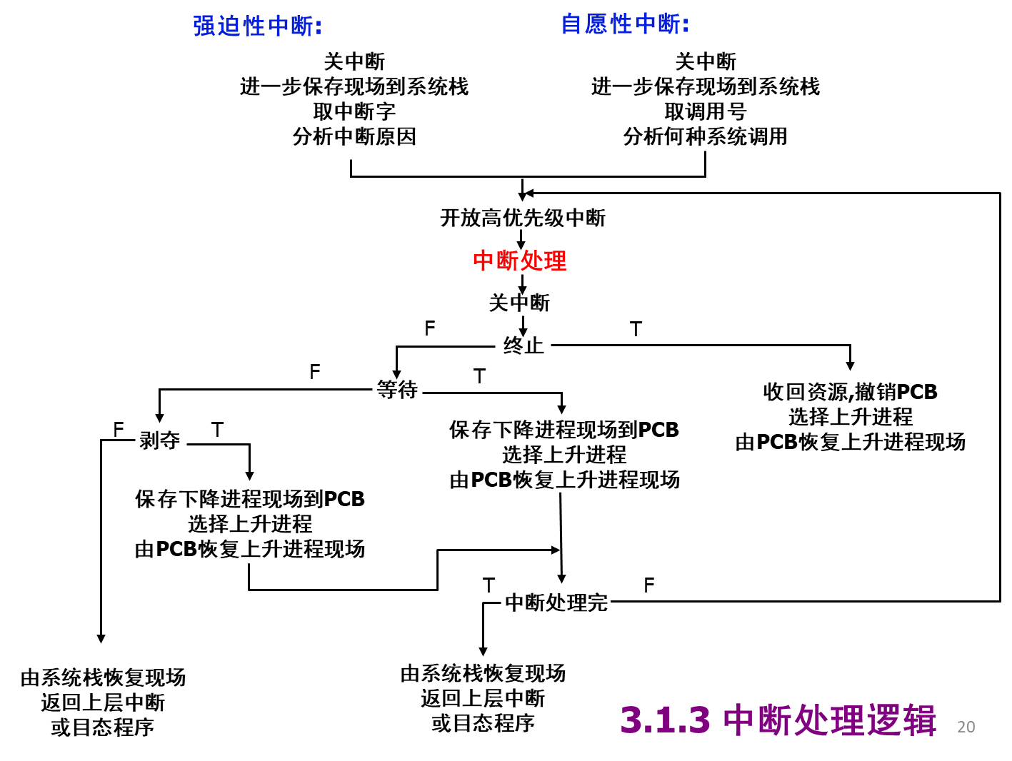 image-20250312082738507