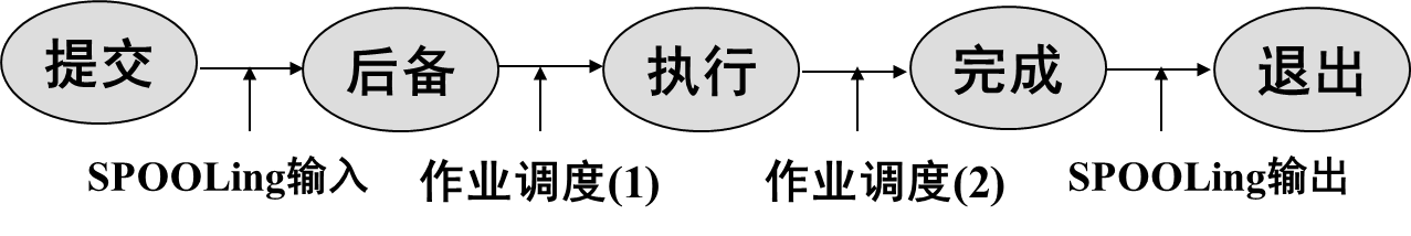 image-20250317090552444