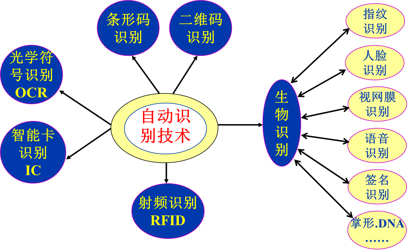 image-20250312200630419