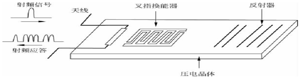 image-20250313193059511